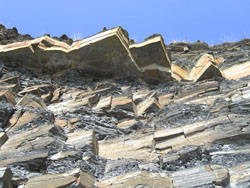 Kimmeridge Bay